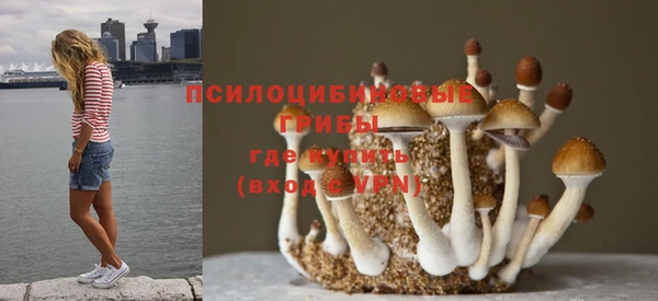 spice Абдулино