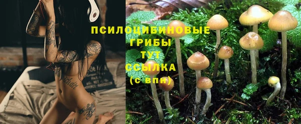 jwh Абаза